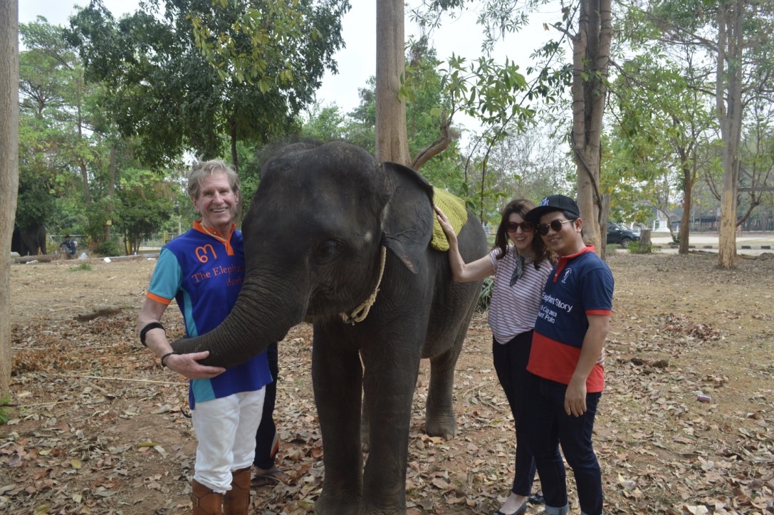 The Elephant Story Blog